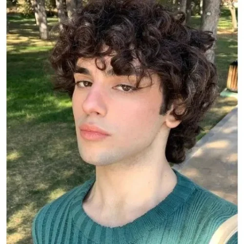 Curly Wolf Cut for Men